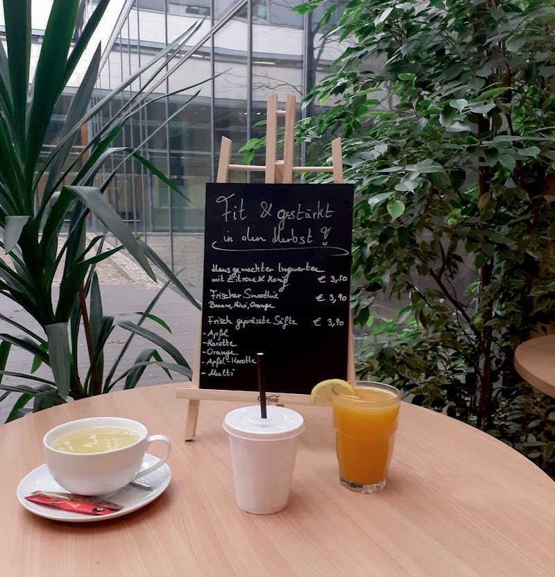 Cafe Medikuss (MZA Lounge) - Cafe Medikuss (MZA Lounge) Anichstraße 35, 6020 Innsbruck, Austria