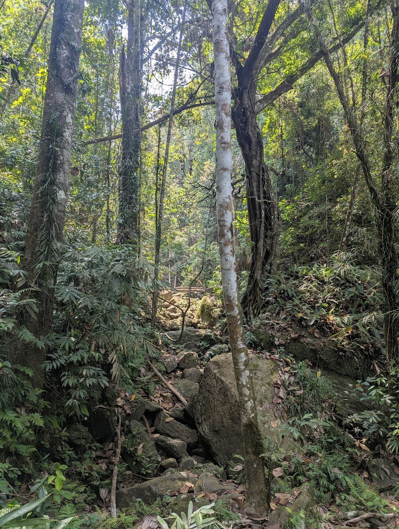 Ginigedara Ella - Ginigedara Ella, J53G+MHX, Batwatte Para, Mahagama, Sri Lanka