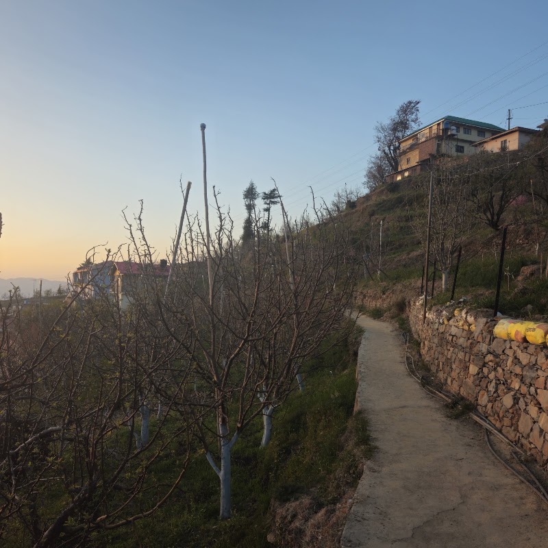 Thanedhar - Thanedhar, 8FFR+363, Narkanda, Thanadhar, Himachal Pradesh 172030, India