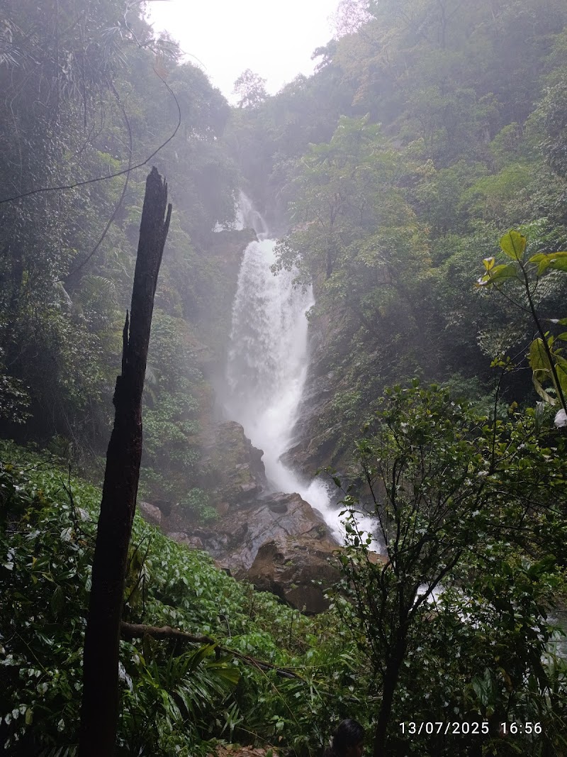 Neturlem Waterfall (Savri) - Neturlem Waterfall (Savri) 366J+FQM, Neturlim, Goa 403704, India