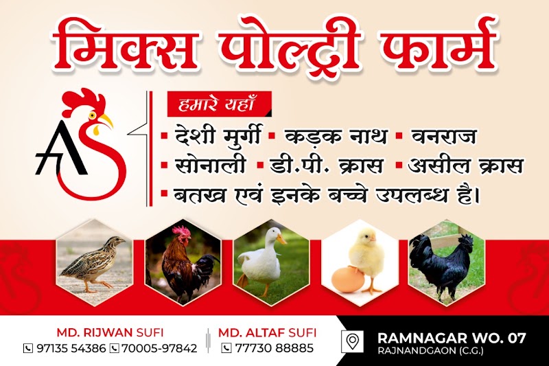 Mixed POULTRY FARM - Mixed POULTRY FARM, Ramnagar Ward no7, Shri Ram Colony, Motipur, Rajnandgaon, Chhattisgarh 491441, India