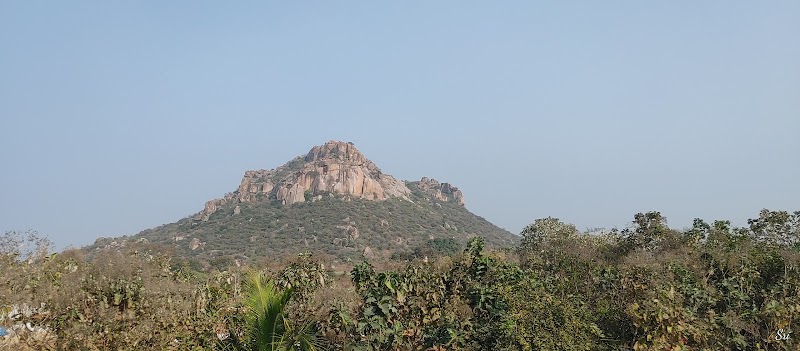 Jadcherla - Jadcherla, Telangana, India