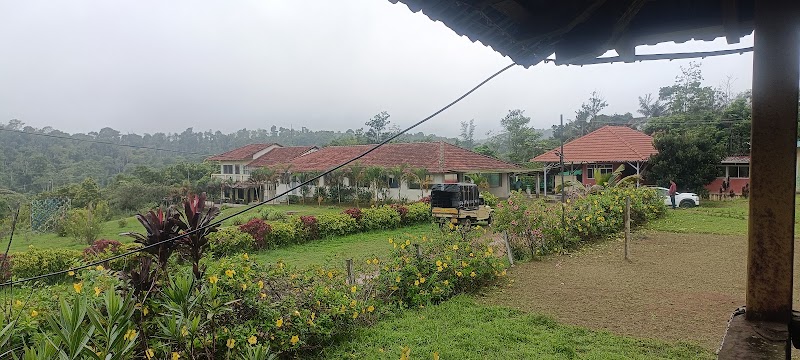 KEN ‘S Nature Treat Homestay