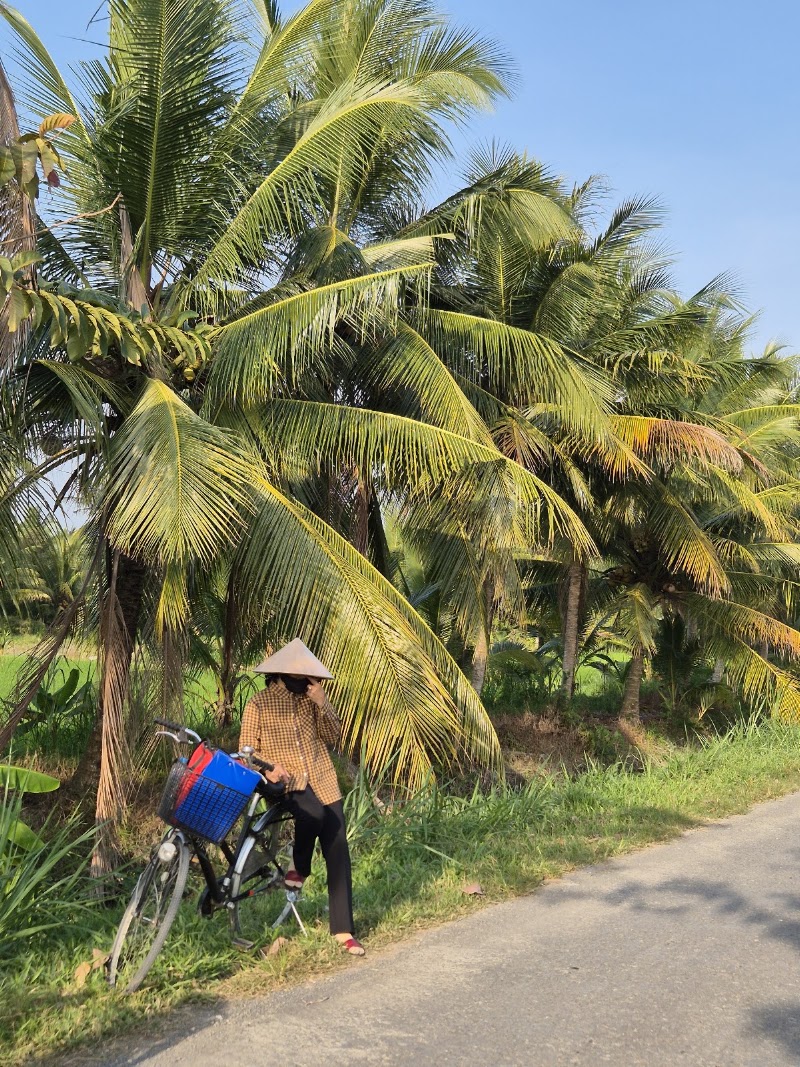 TransMékong - TransMékong, 144 Đ. Hai Bà Trưng, Ninh Kiều, Cần Thơ, Vietnam