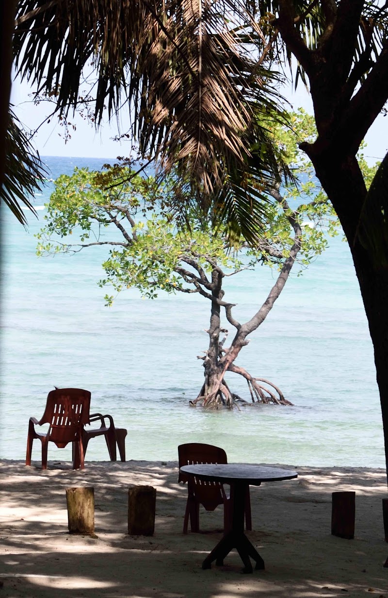 Coco-N-huts Beach Resort - Coco-N-huts Beach Resort, Nearby jetty bech number 2, Neil island, Neil Kendra, Andaman and Nicobar Islands 744104, India