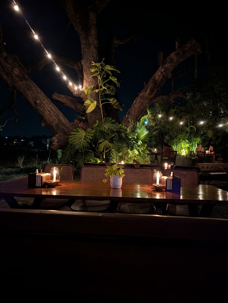 Elephant and Co. Anjuna, Goa - Elephant and Co. Anjuna, Goa House no, Survey no. 16/1, Grand Pedder Field, 1049/2, Grande Peddem, Anjuna, Goa 403509, India