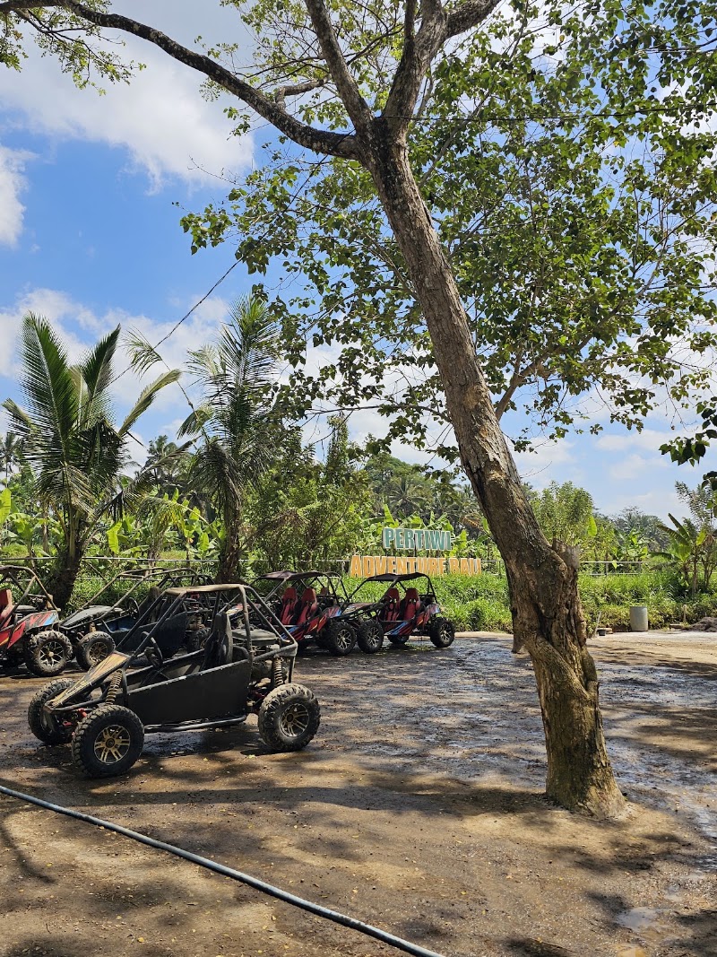 Ubud Quad Bikes - Ubud Quad Bikes Jl. Raya Mawang, Lodtunduh, Kecamatan Ubud, Kabupaten Gianyar, Bali 80571, Indonesia