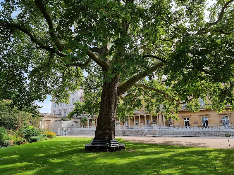 Buckingham Palace Garden - Buckingham Palace Garden Buckingham Palace, Constitution Hill, Spur Rd, London SW1A 1AA, UK