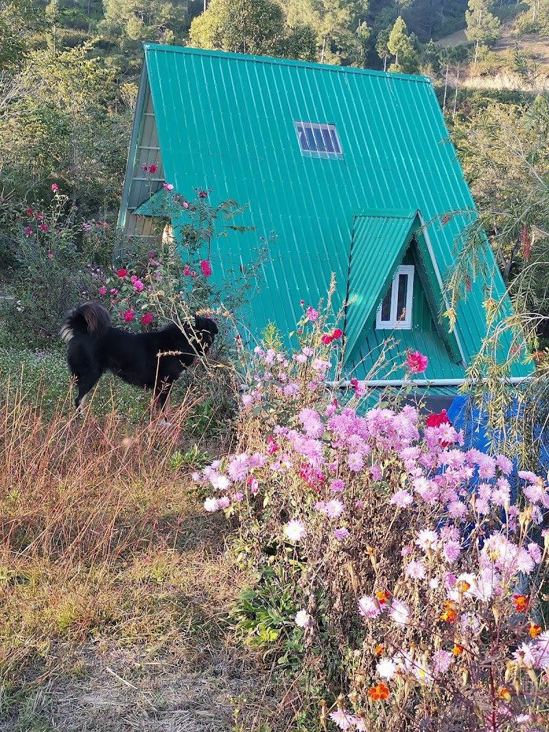 Vishnu Vibe Homestay - Vishnu Vibe Homestay, Josiyana, Gadka Margaon, Uttarakhand 246166, India