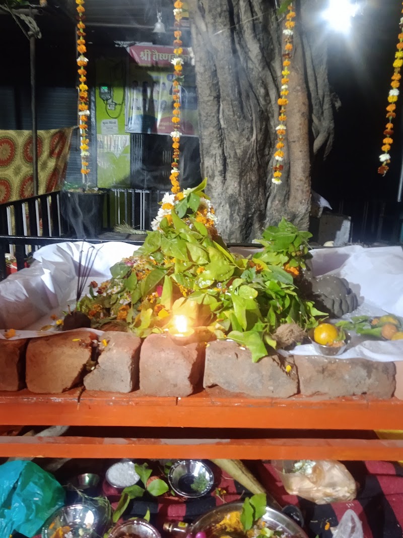 Shiva dhaba khargon - Shiva dhaba khargon, 38WH+XF, Ghana, Madhya Pradesh 464671, India