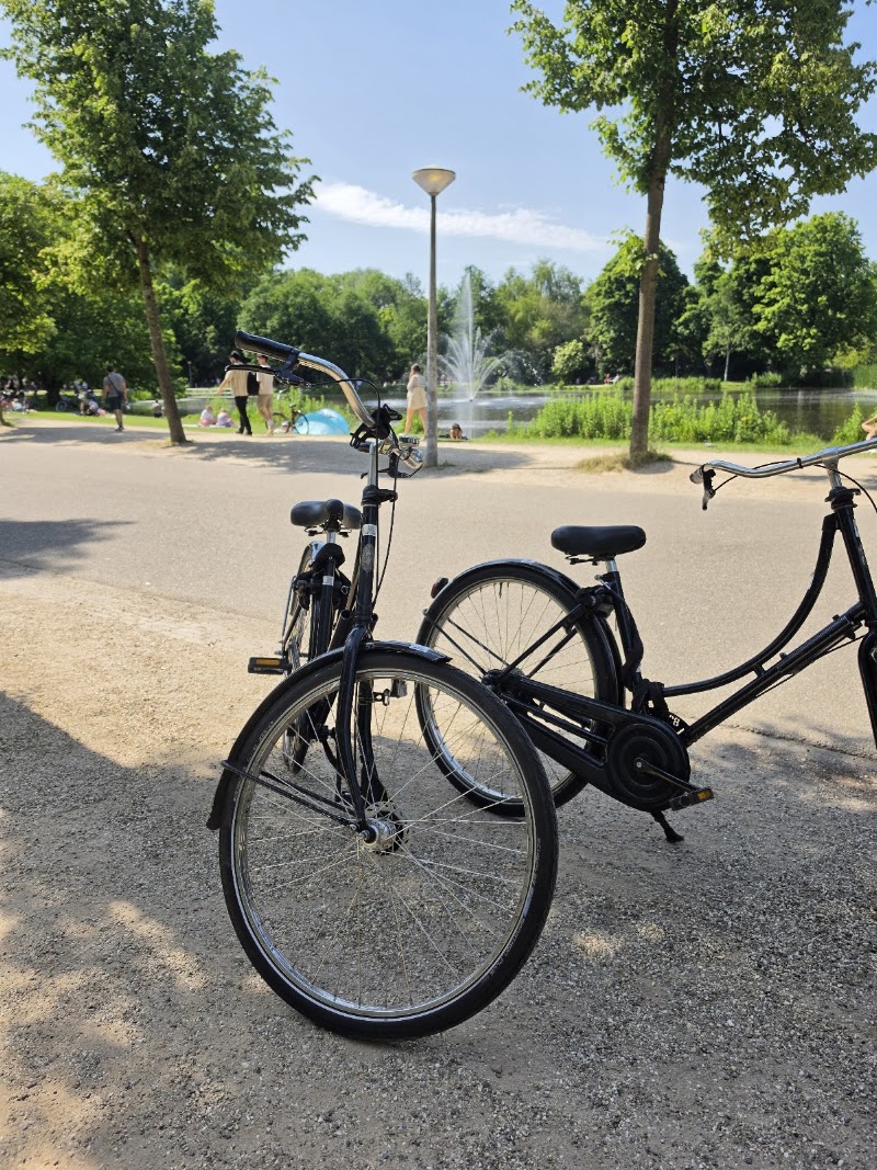Black Bikes | Bike Rental at Dam Square in the City Centre of Amsterdam - Black Bikes | Bike Rental at Dam Square in the City Centre of Amsterdam Nieuwezijds Voorburgwal 146, 1012 SJ Amsterdam, Netherlands