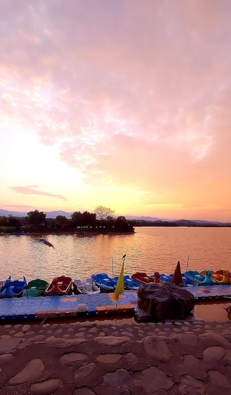 The Lake Peepal Tree - The Lake Peepal Tree PRR6+VV8, Sector 1, Chandigarh, 160001, India