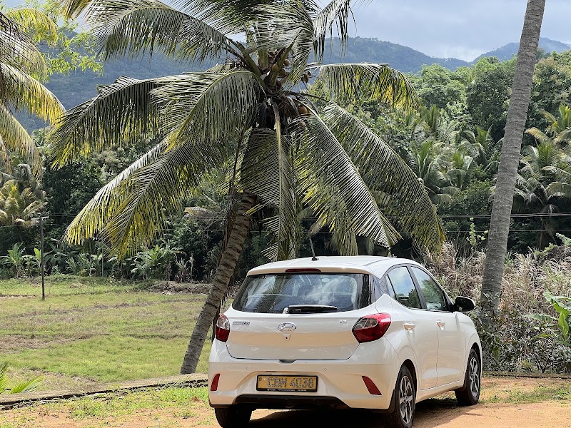 Malkey - Malkey, 786/1 Colombo Road, 784 Airport Junction, Seeduwa, Sri Lanka