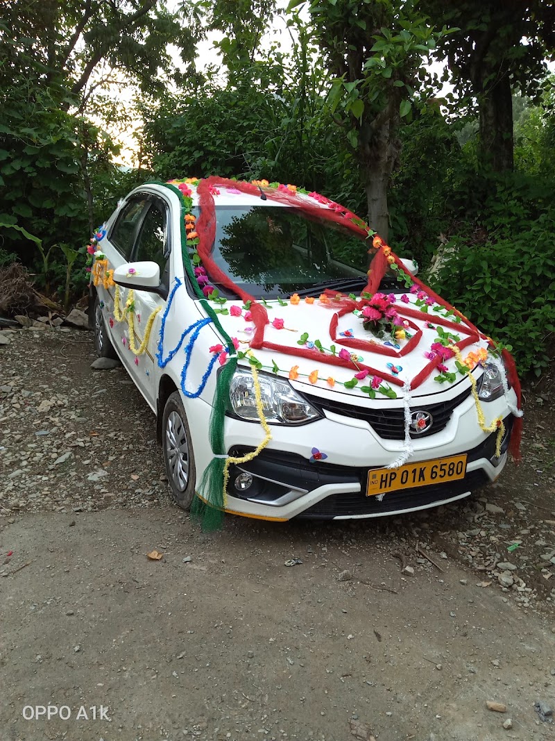 Sunny Travels Manali - Sunny Travels Manali, #127, Siyal Rd, Manali, Himachal Pradesh 175131, India