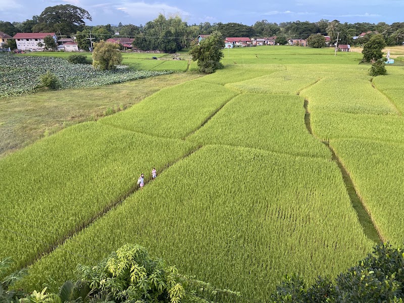 Don Det - Don Det, Laos