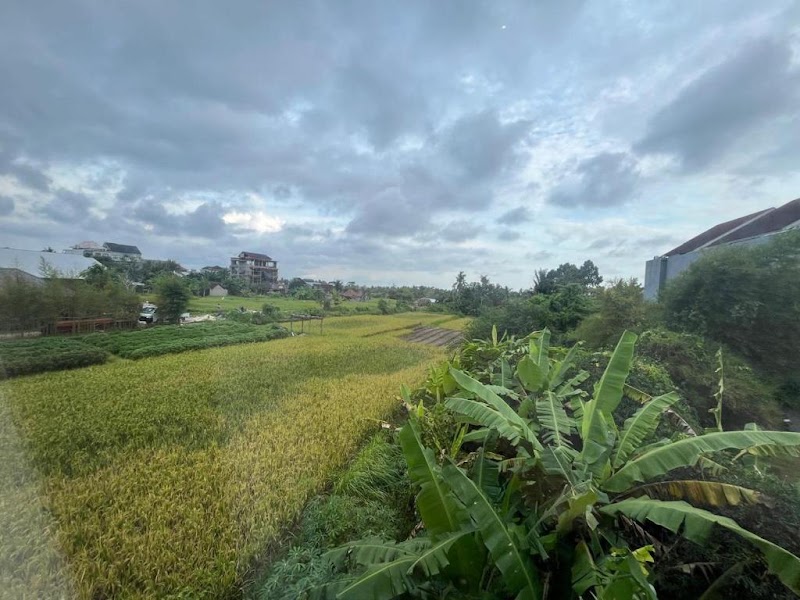 Natha Ubud Private Pool Villas - Natha Ubud Private Pool Villas, Singakerta, Ubud, Jl. Raya Kengetan, Singapadu Kaler, Kec. Sukawati, Kabupaten Gianyar, Bali 80571, Indonesia