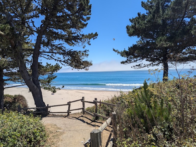Año Nuevo State Park - Año Nuevo State Park 1 New Years Creek Rd, Pescadero, CA 94060, USA