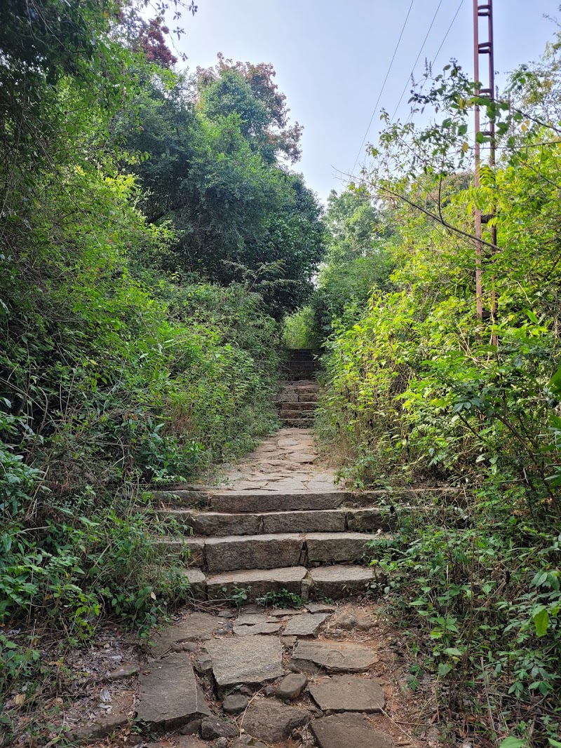Avala Betta - Avala Betta HMGF+XQ9, Avalabetta Rd, Yaramarenahalli, Karnataka 562101, India