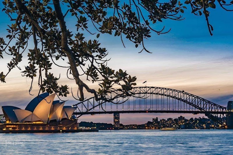 Mrs Macquaries Road - Mrs Macquaries Road, Mrs Macquaries Rd, Sydney NSW 2000, Australia