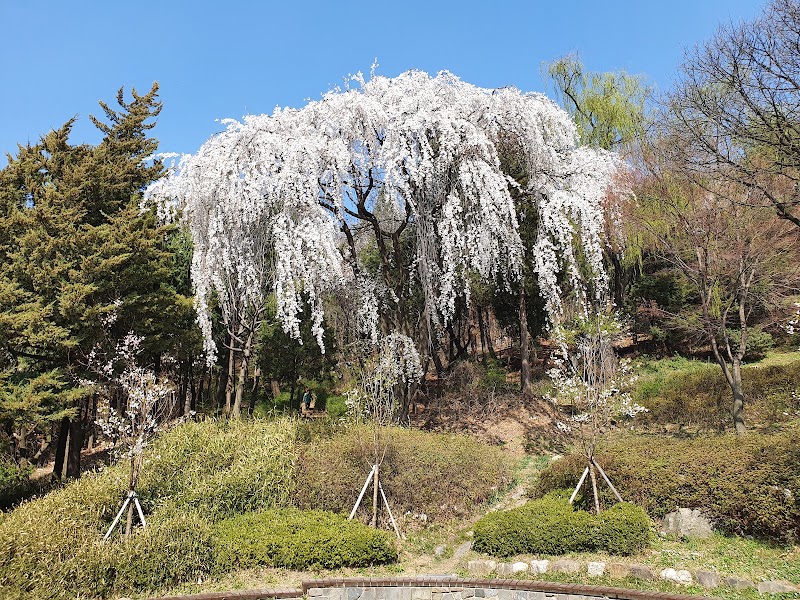 Yeonhui Forest Rest Area - Yeonhui Forest Rest Area Yeonhui-dong, Seodaemun-gu, Seoul, South Korea