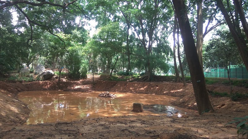 Ring wood circle cubbon park - Ring wood circle cubbon park Cubbon Park Rd, Nunegundlapalli, Ambedkar Veedhi, XHFR+QG3, Nunegundlapalli, Sampangi Rama Nagara, Bengaluru, Karnataka 560001, India