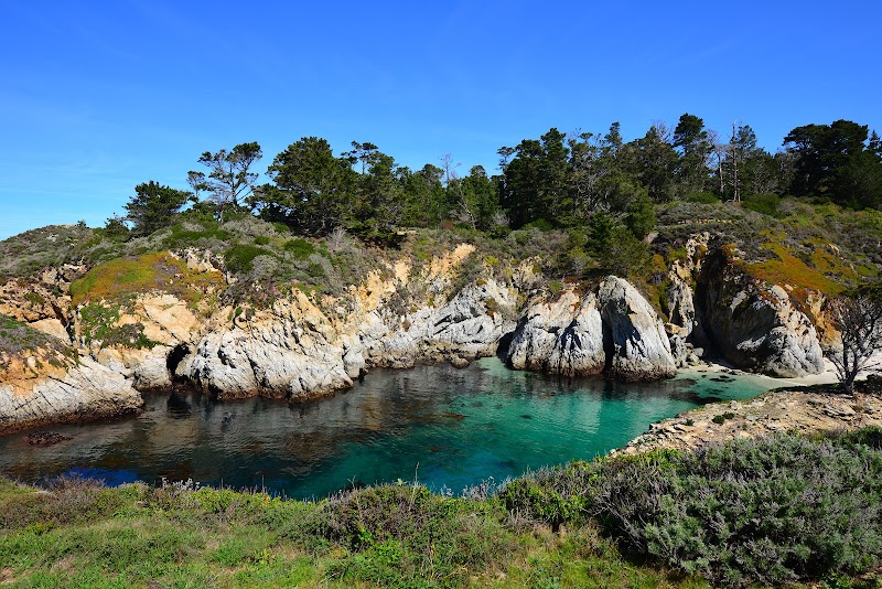 Point Lobos State Natural Reserve - Point Lobos State Natural Reserve Carmel-By-The-Sea, CA 93923, USA