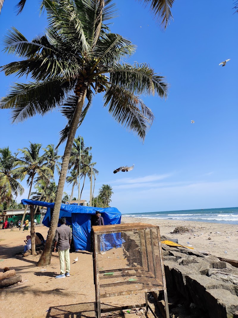 Kappakkal Beach - Kappakkal Beach, 6Q9J+3WM, Unnamed Road, Payyanakkal, Kozhikode, Kerala 673003, India