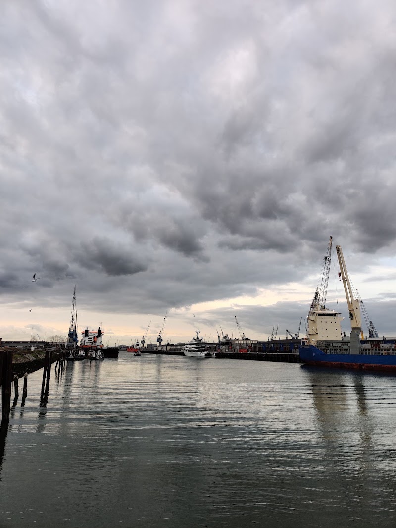 Waterbus - Waterbus Erasmusbrug - Stormpolder, 3016 DK Rotterdam, Netherlands
