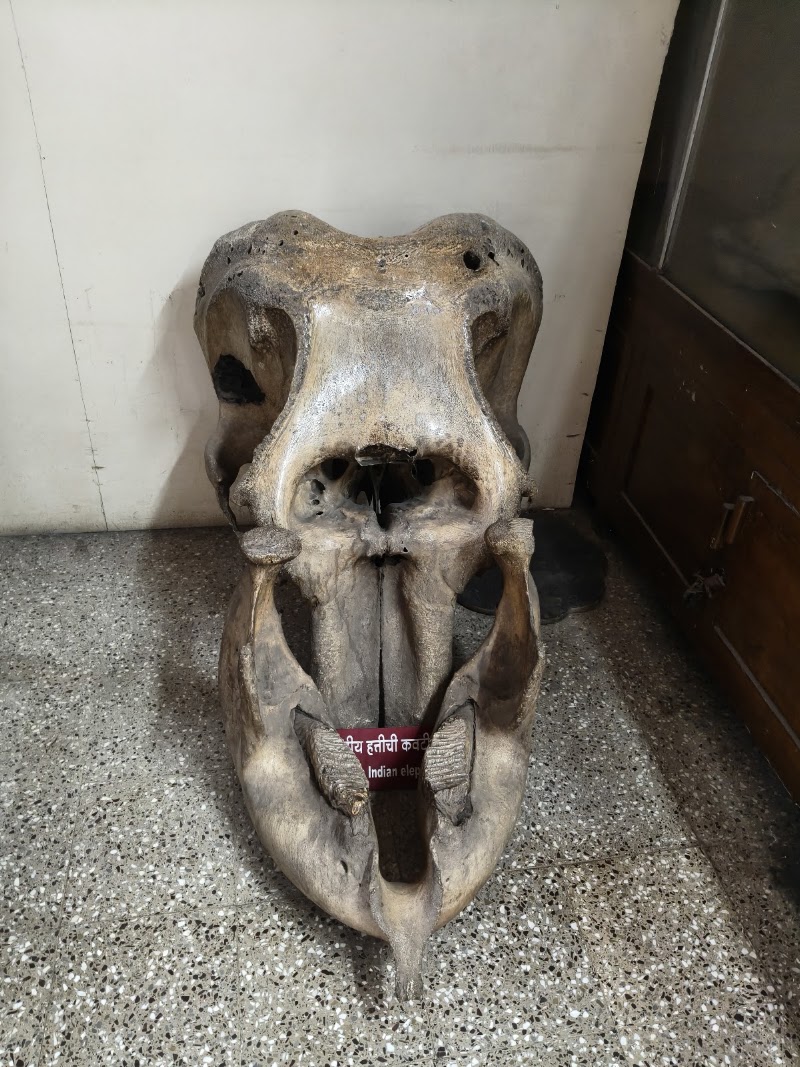 Mahatma Phule Museum - Mahatma Phule Museum 1204/10, Ghole Rd, Shivajinagar, Pune, Maharashtra 411004, India