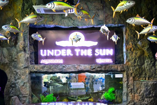 Under The Sun Aquarium, Udaipur - Under The Sun Aquarium, Udaipur Fateh Sagar Overflow, Fateh Sagar Lake, Udaipur, Rajasthan 313004, India
