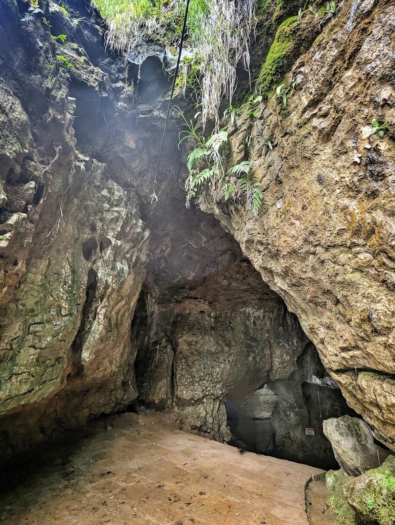 Arwah Cave - Arwah Cave 7PXG+CGH, Sohra, Meghalaya 793108, India