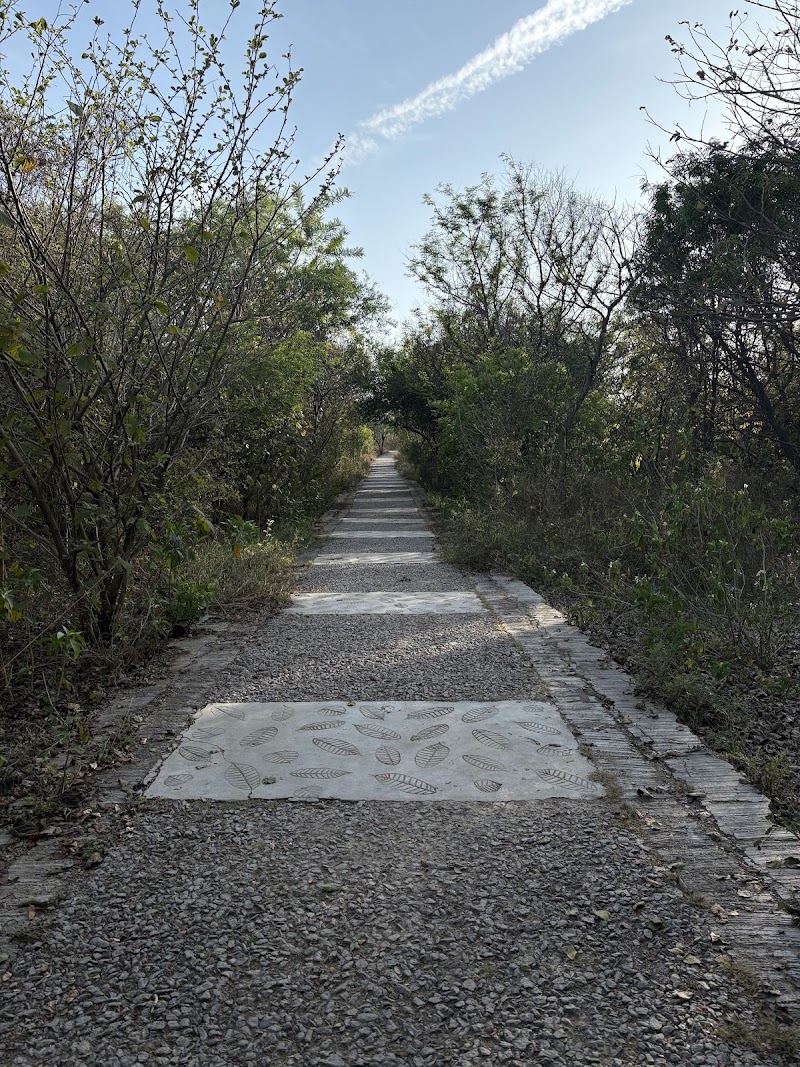 Sunrise point - Sunrise point S-11/7, DLF Phase 3, Sector 24, Gurugram, Haryana 122010, India