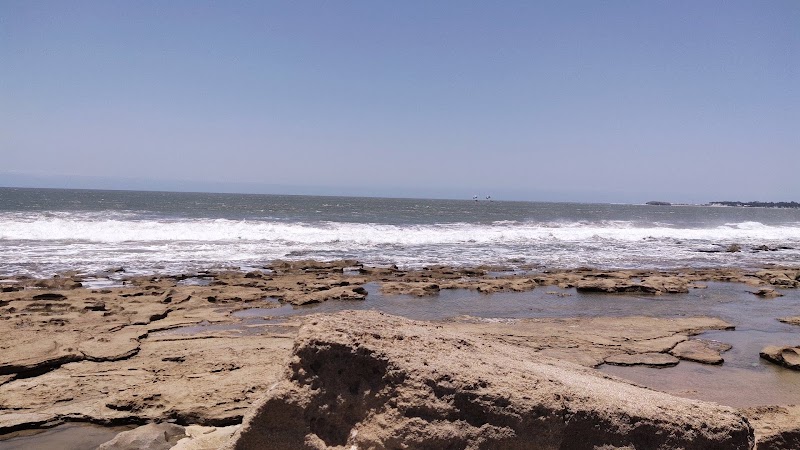Dinosaur Park - Dinosaur Park, PW6M+PJR, Diu, Dadra and Nagar Haveli and Daman and Diu 362520, India