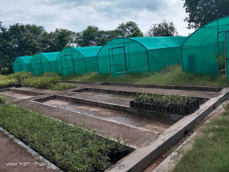 Sanjay Gandhi Nursery - Sanjay Gandhi Nursery, Andhiyarkhor, Chhattisgarh 491335, India