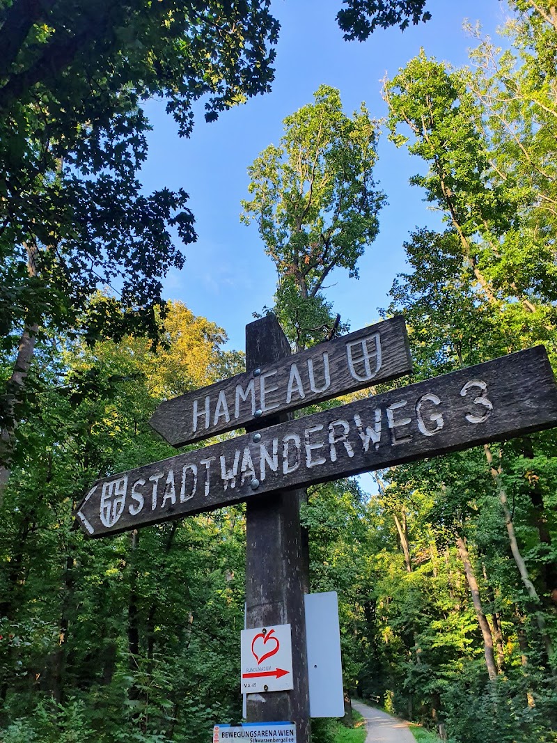 Stadtwanderweg 3 - Stadtwanderweg 3, Waldegghofgasse, 1170 Wien, Austria