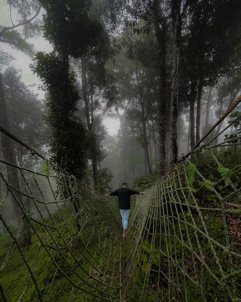 900 kandi eco park - 900 kandi eco park 900 kandi, Meppadi, Kottappadi part, Kerala 673577, India