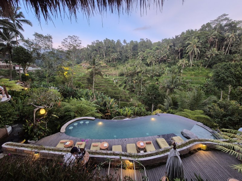 Tis Cafe - Tis Cafe Jl. Raya Tegallalang, Tegallalang, Kec. Tegallalang, Kabupaten Gianyar, Bali 80561, Indonesia