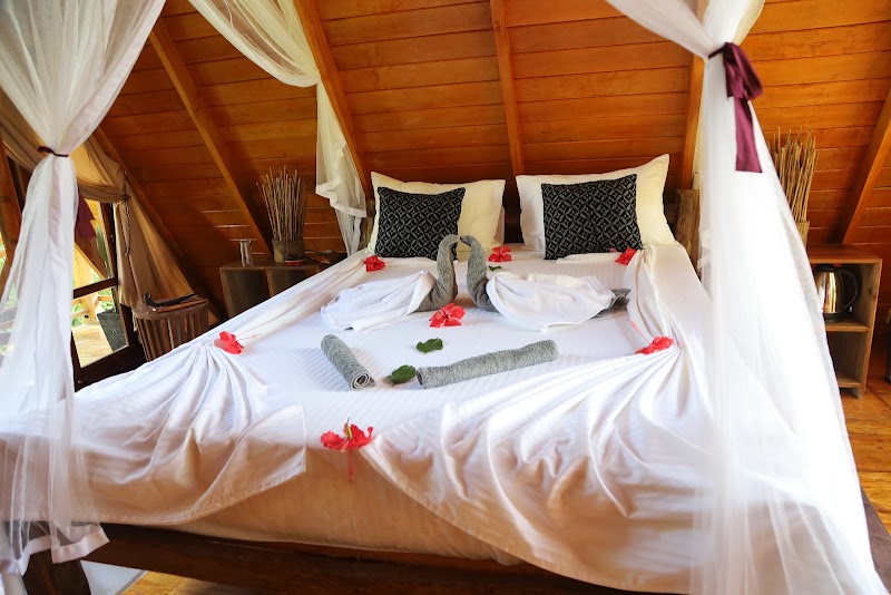 Cinnamon Paradise, Ahangama - Cinnamon Paradise, Ahangama Sharamadana Mawatha, Ahangama, Sri Lanka