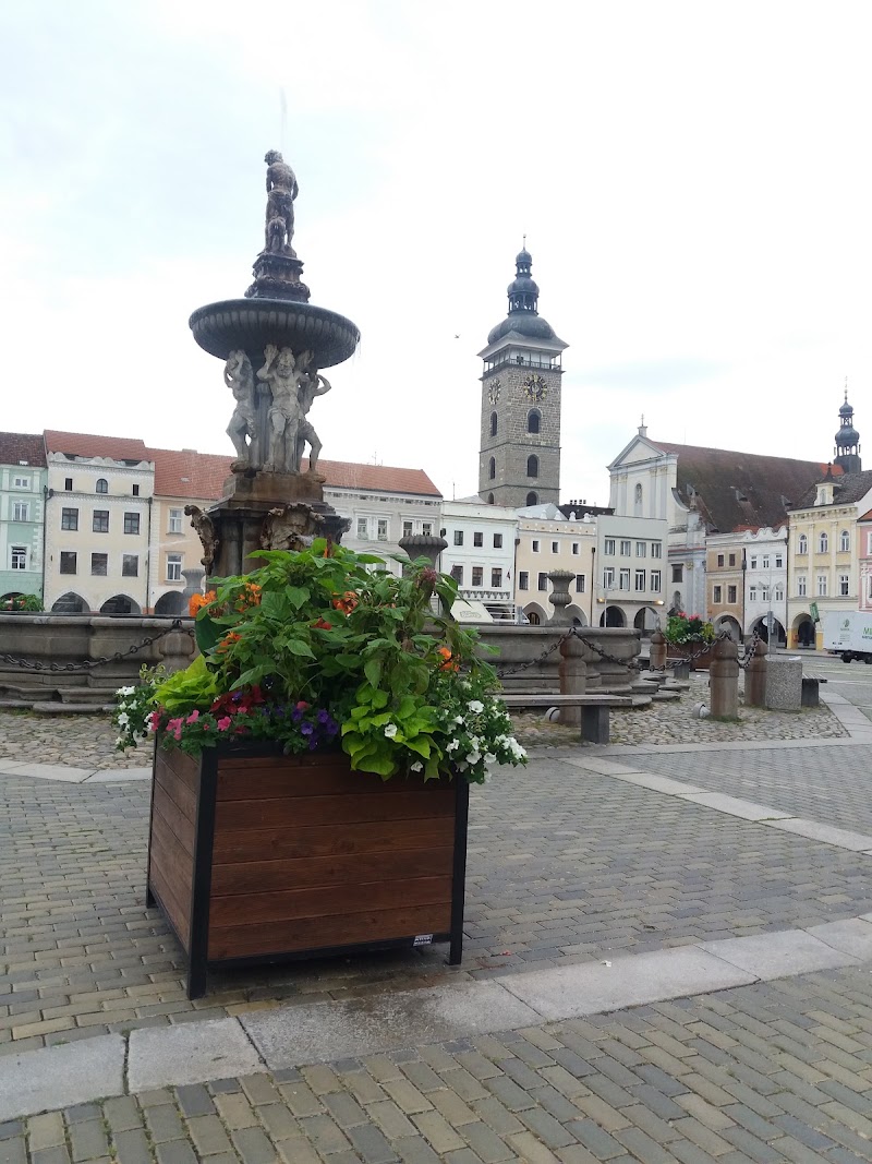 Samson fountain - Samson fountain, Náměstí Přemysla Otakara II., 370 01 České Budějovice-České Budějovice 1, Czechia
