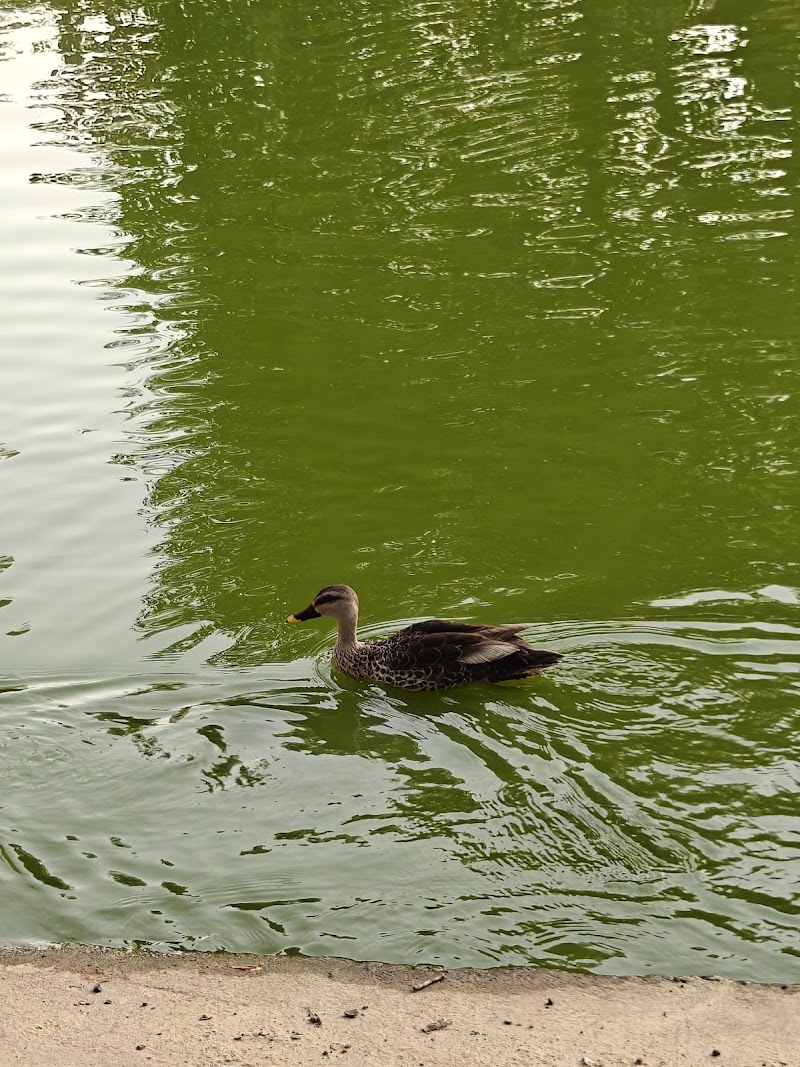 Lake View Park - Lake View Park Gaur City 1, Sector 4, Greater Noida, Ghaziabad, Uttar Pradesh 201016, India