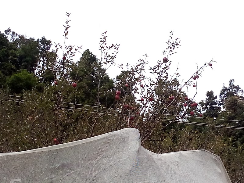 BRC Ramgarh - BRC Ramgarh, CHV6+G3V, Kaichi - Ramgarh Rd, Ramgarh, Bohrakote, Uttarakhand 263137, India