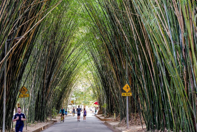 Ibirapuera Park - Ibirapuera Park Av. Pedro Álvares Cabral, s/n - Vila Mariana, São Paulo - SP, 04094-050, Brazil
