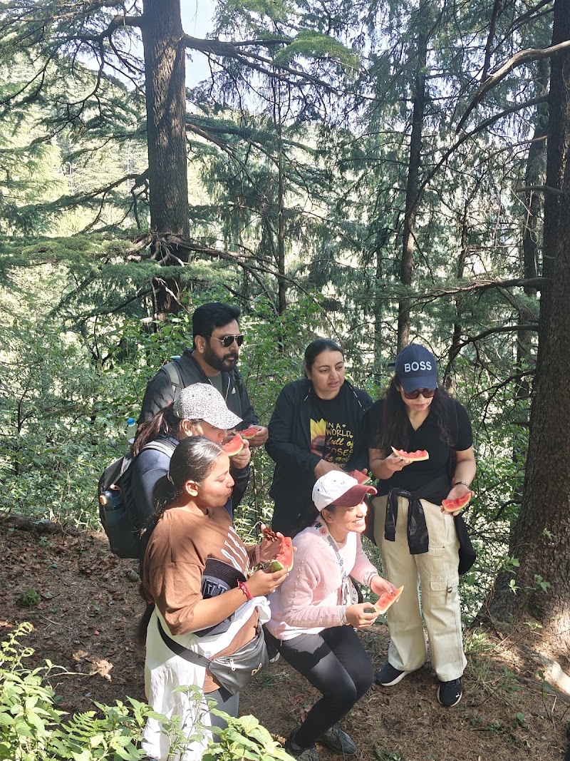 Nature Walk Camps kala top dalhousie - Nature Walk Camps kala top dalhousie Dalhousie, Kalatop, Dalhousie, Himachal Pradesh 176304, India