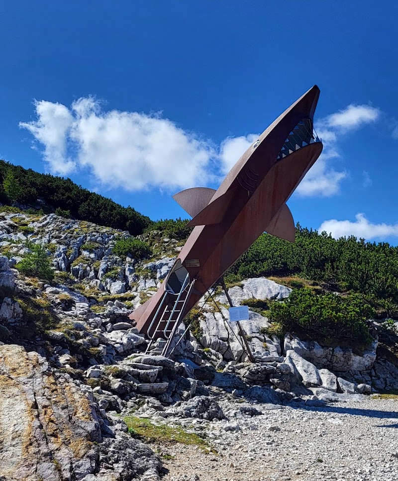 Dachstein Shark - Dachstein Shark, Winkl 34, 4831 Obertraun, Austria