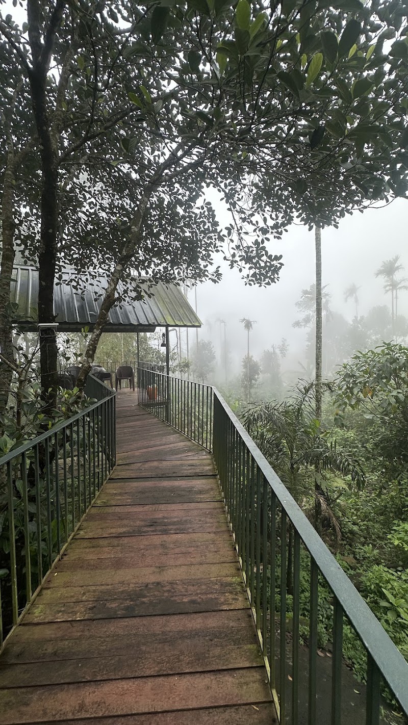 Kakkadampoyil View Point - Kakkadampoyil View Point 93PX+48V, Poovaranthode, Kerala 673604, India