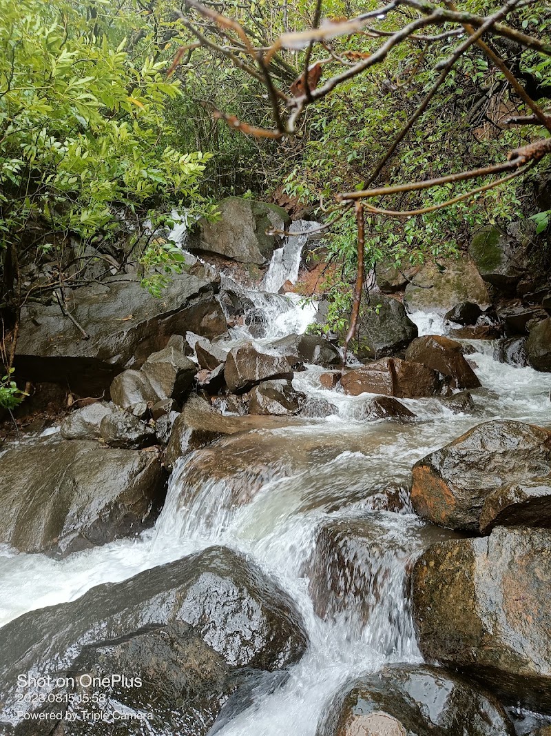 Andharban Trekking Way - Andharban Trekking Way G93X+4M, Pimpri, Maharashtra 412108, India