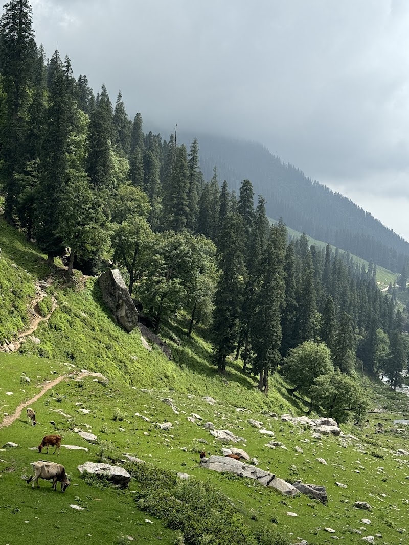 Hamta Pass - Hamta Pass Manali, Himachal Pradesh 175140, India