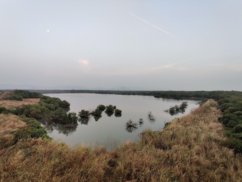 Bird Watching Area, Bhandup West (BPS) - Bird Watching Area, Bhandup West (BPS) 4XR7+QV6, Mulund East, Mumbai, Maharashtra 400042, India