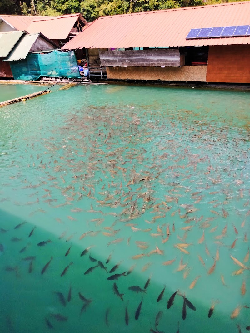 Nang Prai Raft House - Nang Prai Raft House, Ratchaprapha, ตำบลเขาพัง อำเภอบ้านตาขุน สุราษฎร์ธานี 84230, Thailand