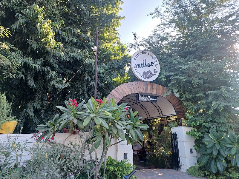 Mellow The Bistro - Mellow The Bistro 72C3+5Q2 D-32, Marudhar Mridul Marg, Opposite Medical College, Sindhi Colony, Sector-E, Shastri Nagar, Jodhpur, Rajasthan 342003, India
